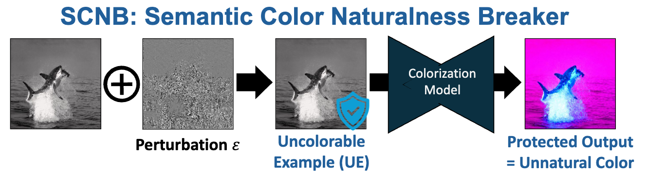Semantic Color Naturalness Breaker adds a perturbation to a grayscale image, causing unauthorized AI colorization to produce unnatural colors.