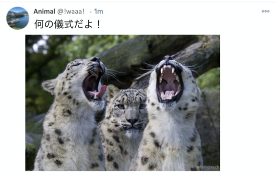 Twitter Image Captioning