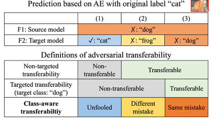 Closer Look at the Transferability of Adversarial Examples: How They Fool Different Models Differently