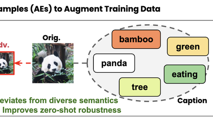 Quality Text, Robust Vision: The Role of Language in Enhancing Visual Robustness of Vision-Language Models